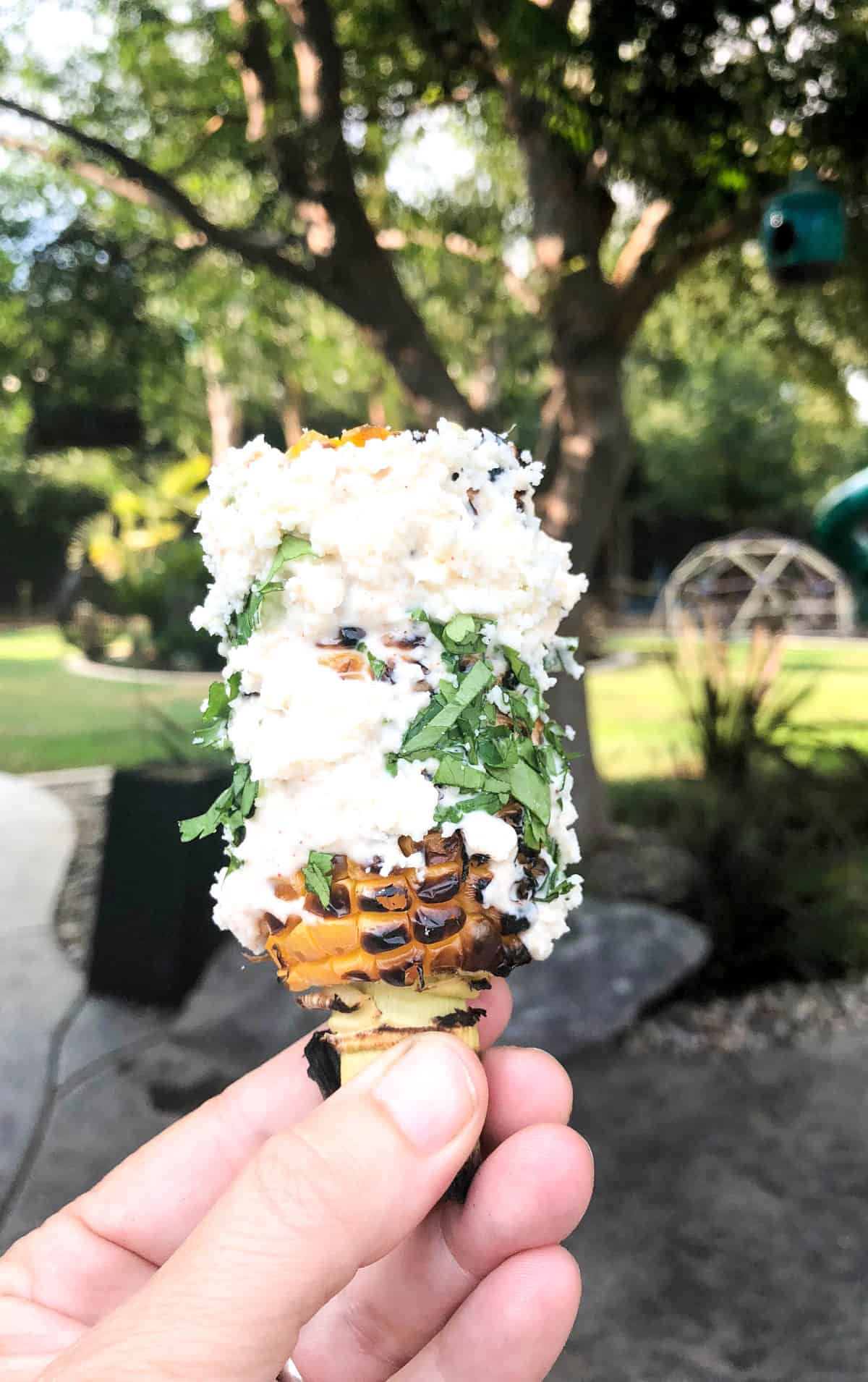 Street Corn! California style! 