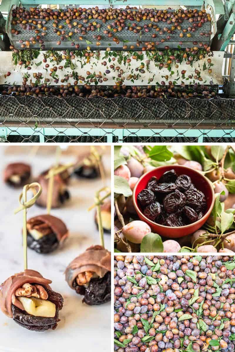 History + Health Benefits of Prunes from California