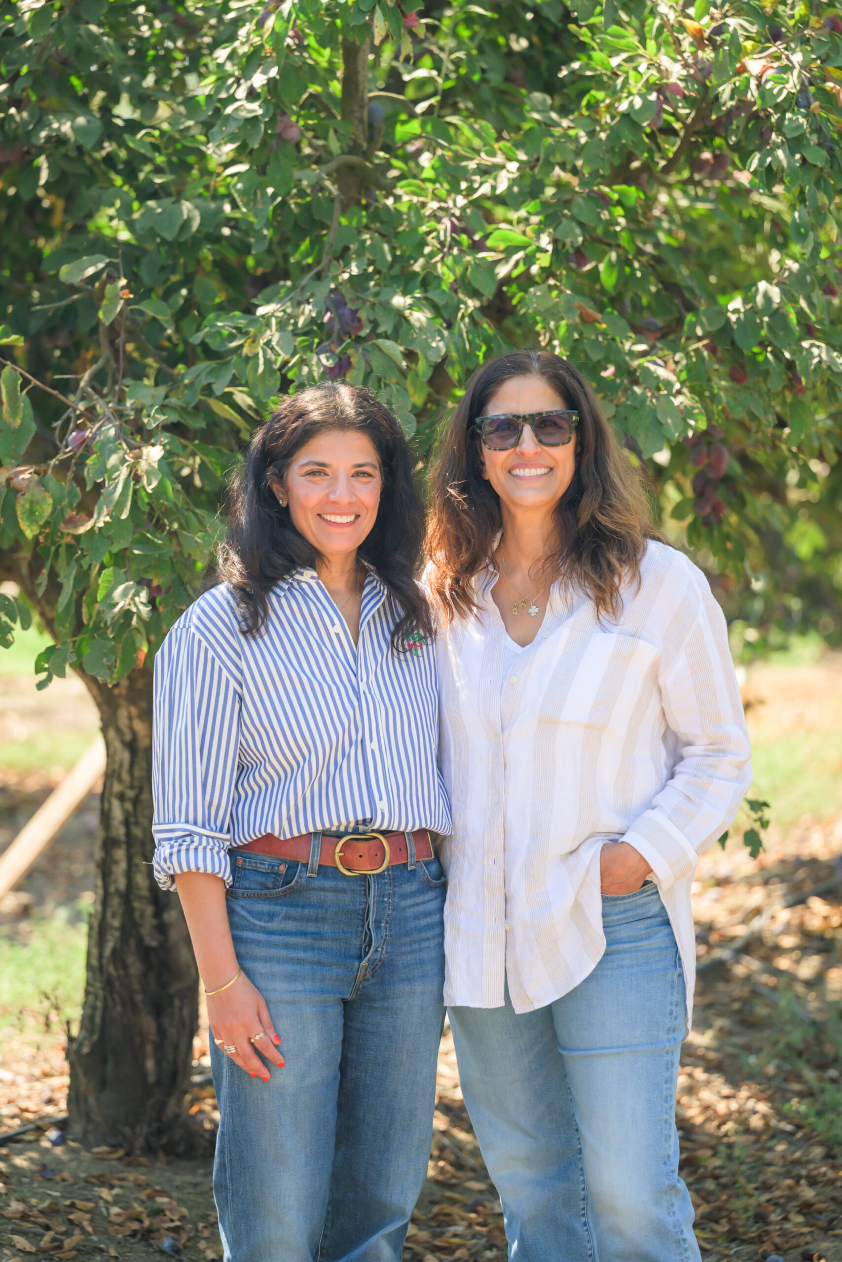 Manseena Orchards: Growing the Future of California Agriculture