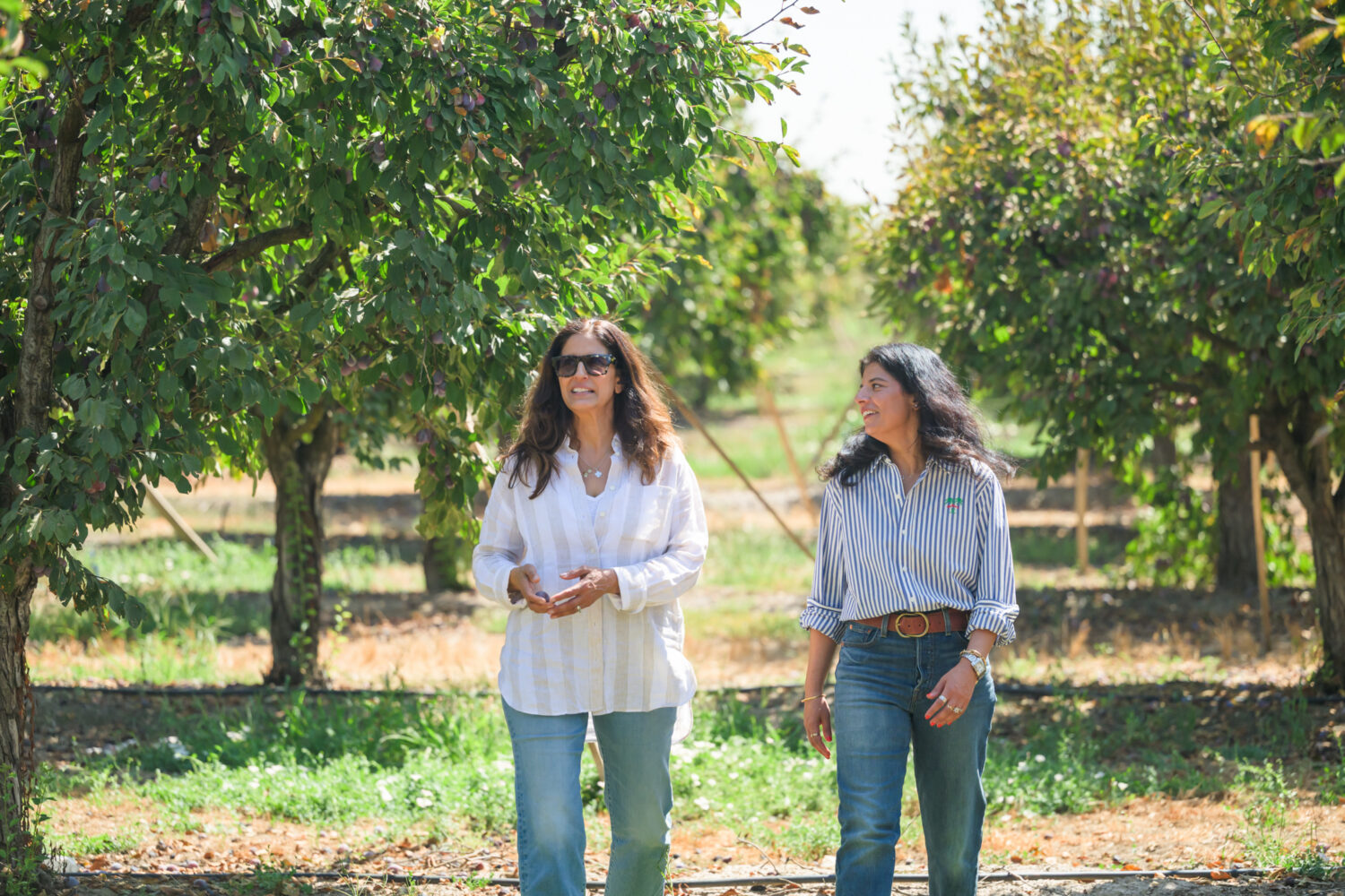 Manpreet + Sureena: the sisters walking through the orchard