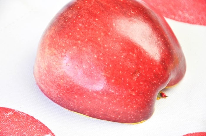 Apple Stamp Tote ::  California Grown Blog