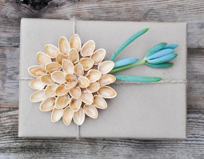 Pistachio Shell Bows