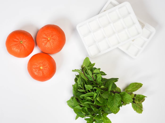 Ingredients: Ice cube trays, mint, citrus 