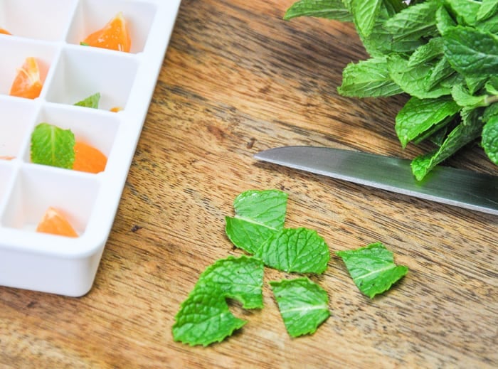 Sliced mint small enough to put into ice cube trays