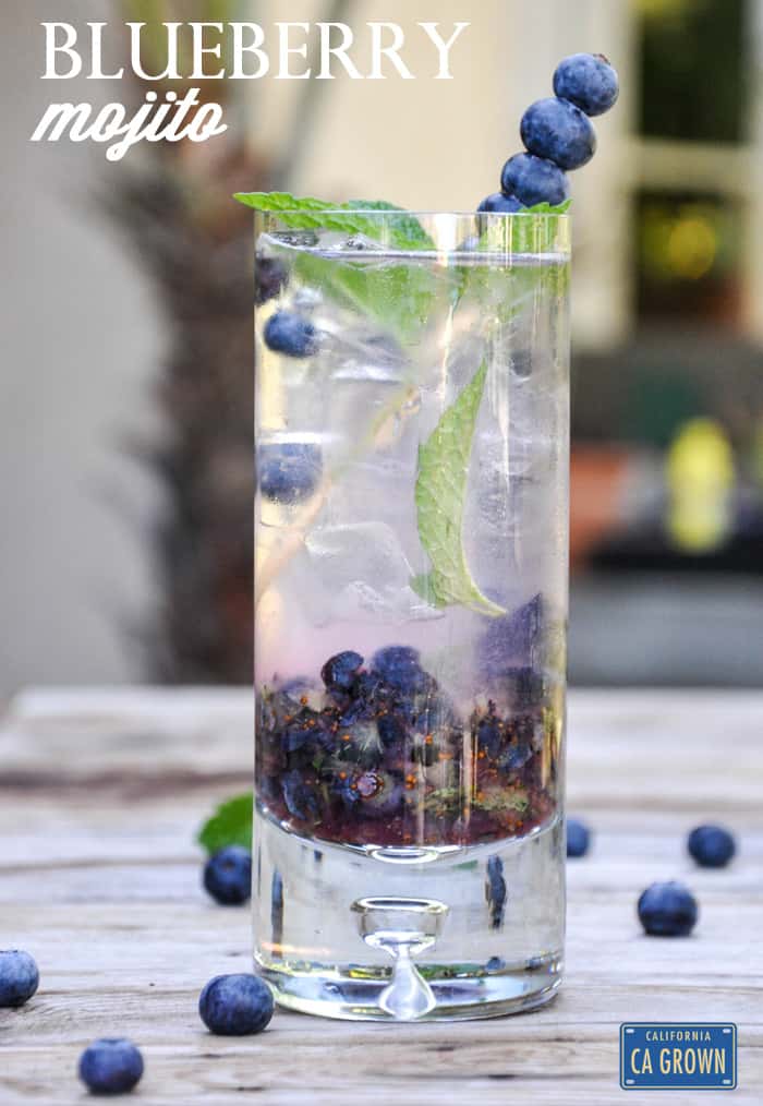 Fresh Blueberry Mojito Recipe