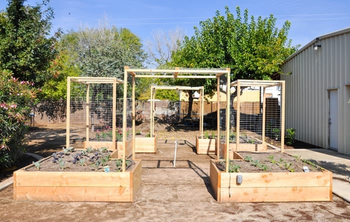 Raised Bed Gardens