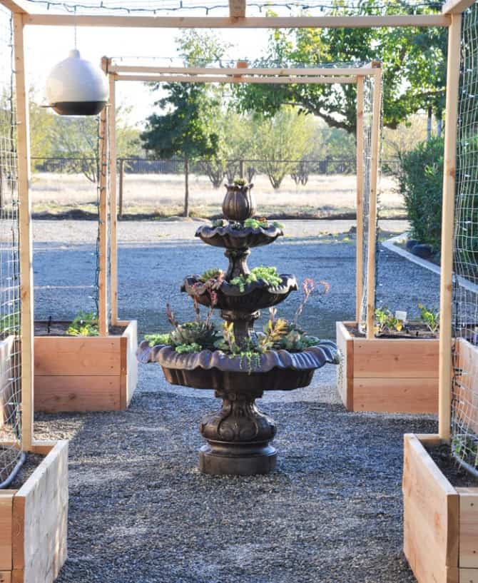 How to Make a Succulent Fountain - California Grown