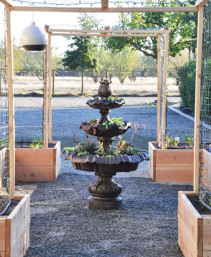 How to create a Succulent Fountain. Beautiful presentation with cascading succulents The Perfect solution for an old fountain too!