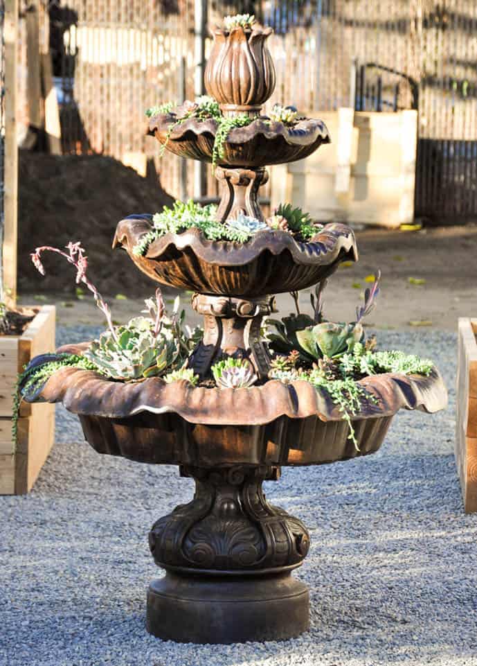 How to make a succulent fountain