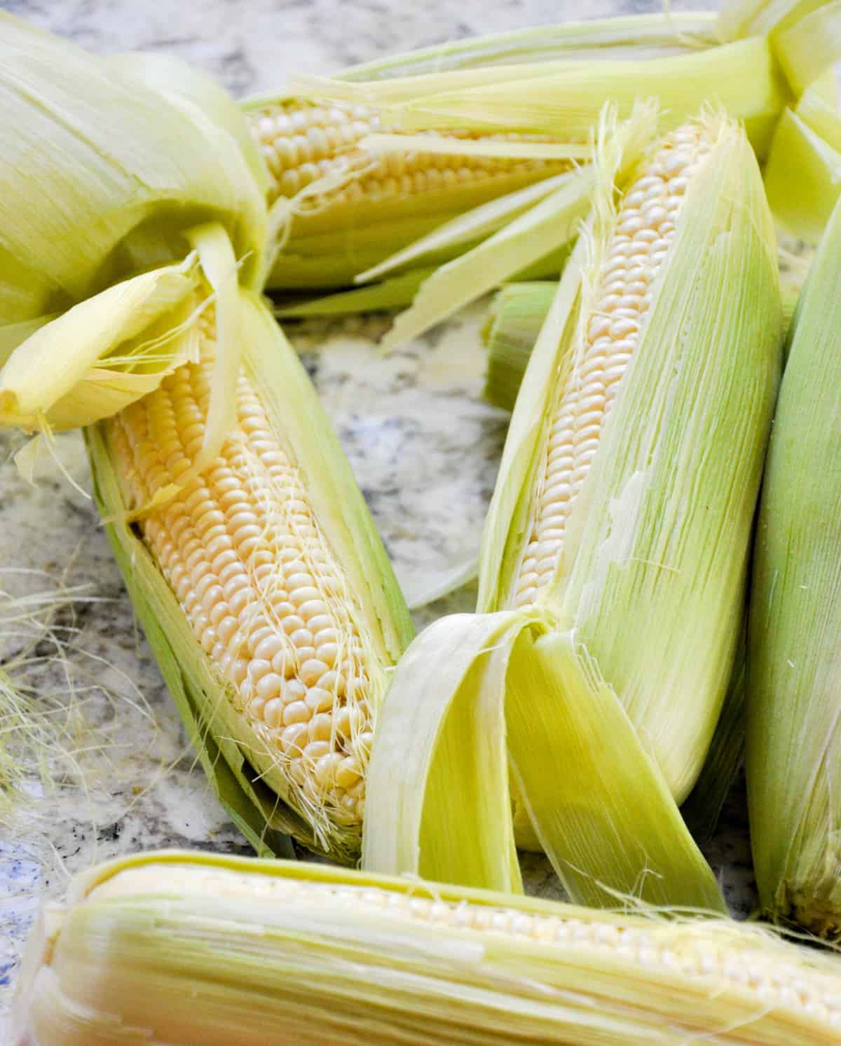Sweet Corn in Husk