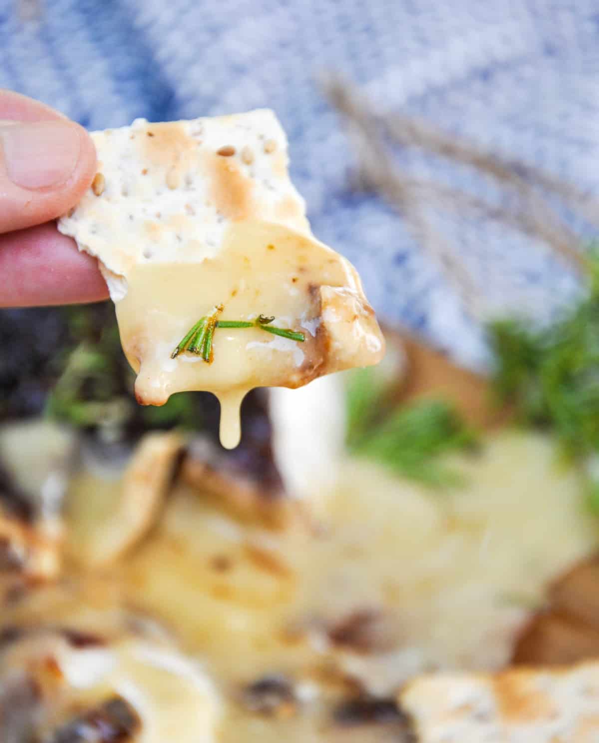 Brie on a cracker