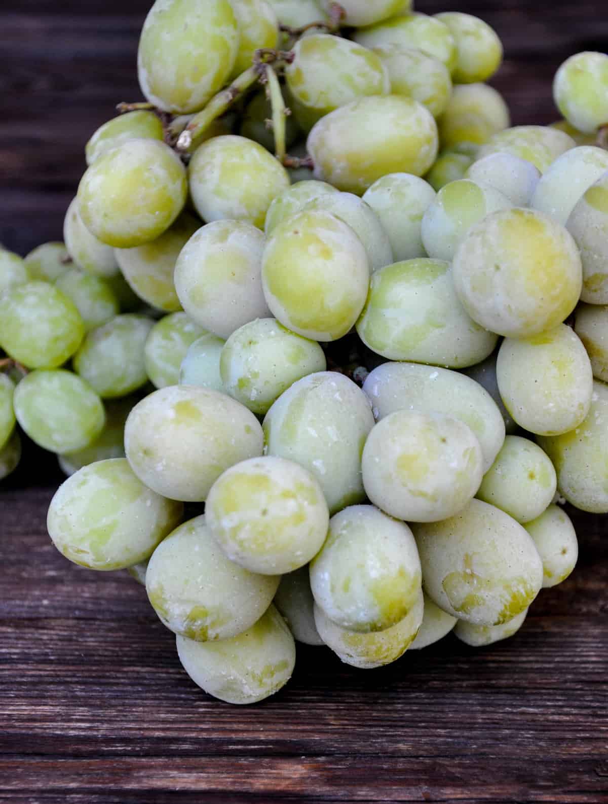 Green Grapes on stem