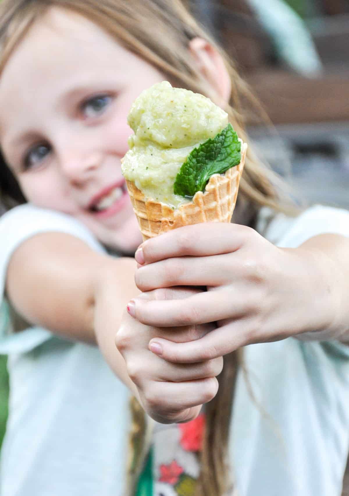 Green Grape Sorbet with fresh mint and lime. California Grown Food Blog