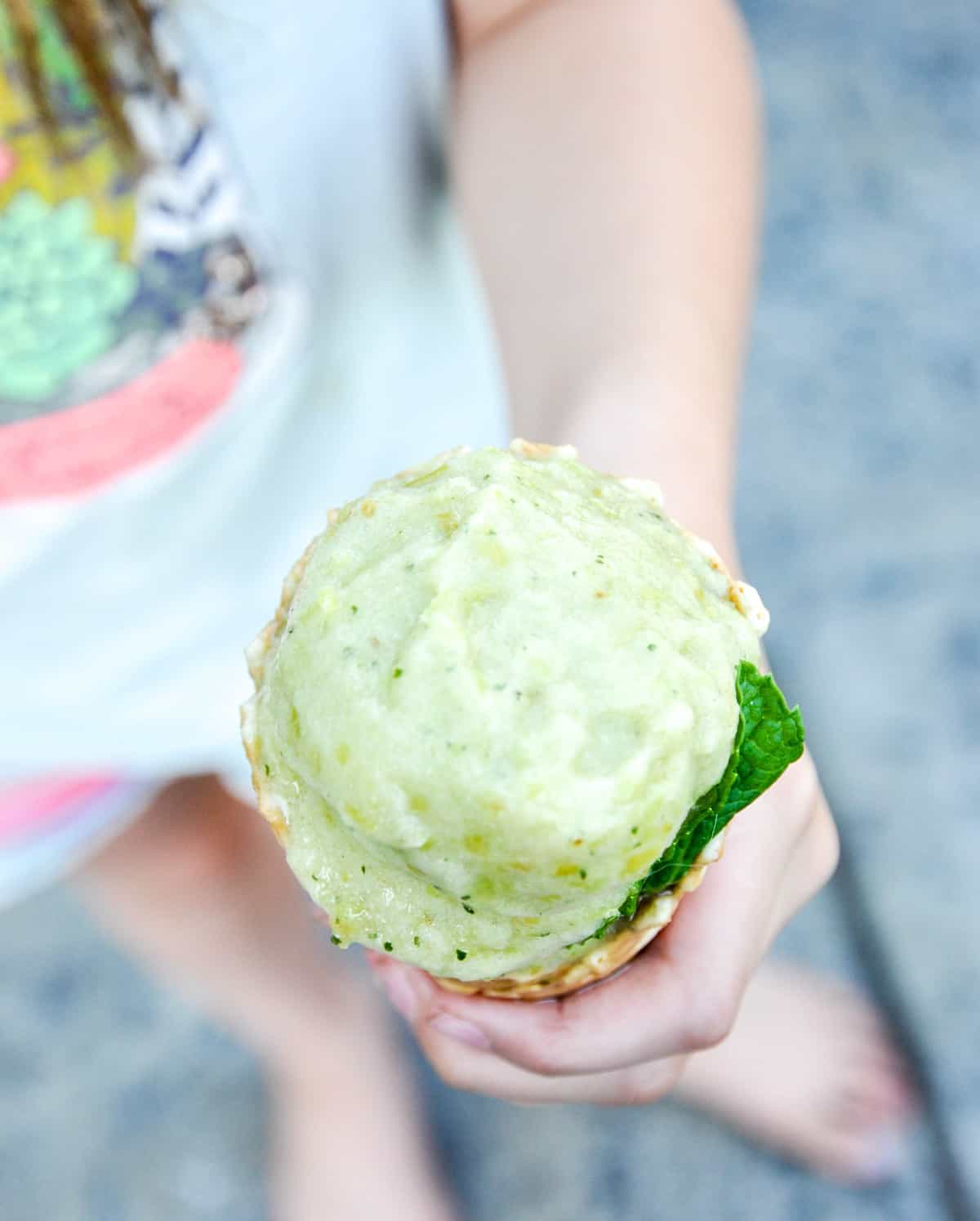Green Grape Sorbet with fresh mint and lime