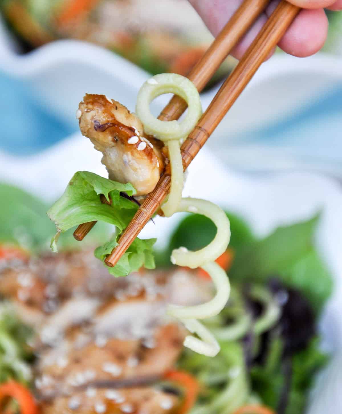 Spiralized Broccoli Teriyaki Chicken Bowl 