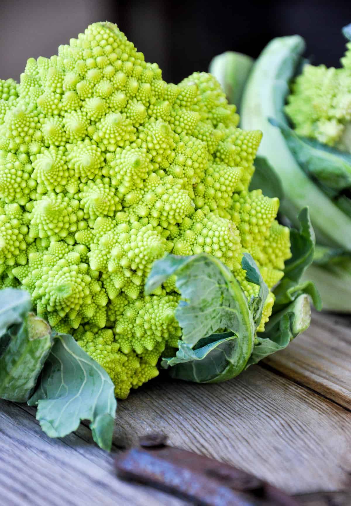 Romanesco 