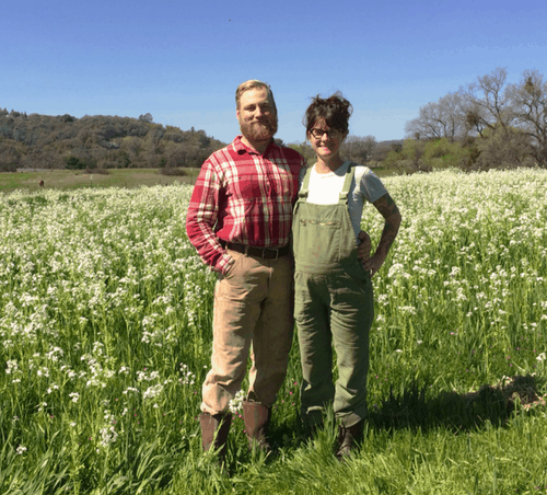Meet a Farmer: Will Nelson of The Bear and The Bee Farm