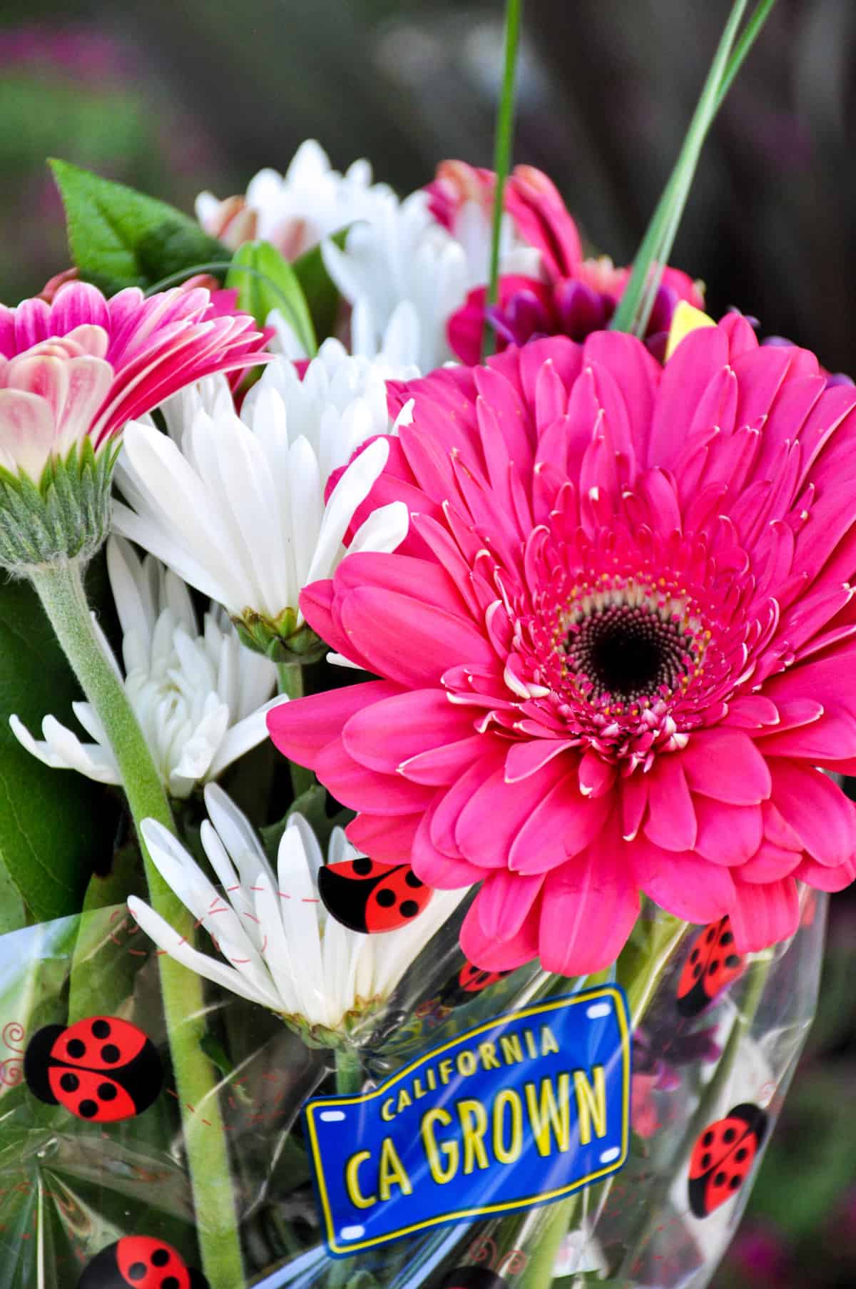 How to Make a Floral Ice Bucket