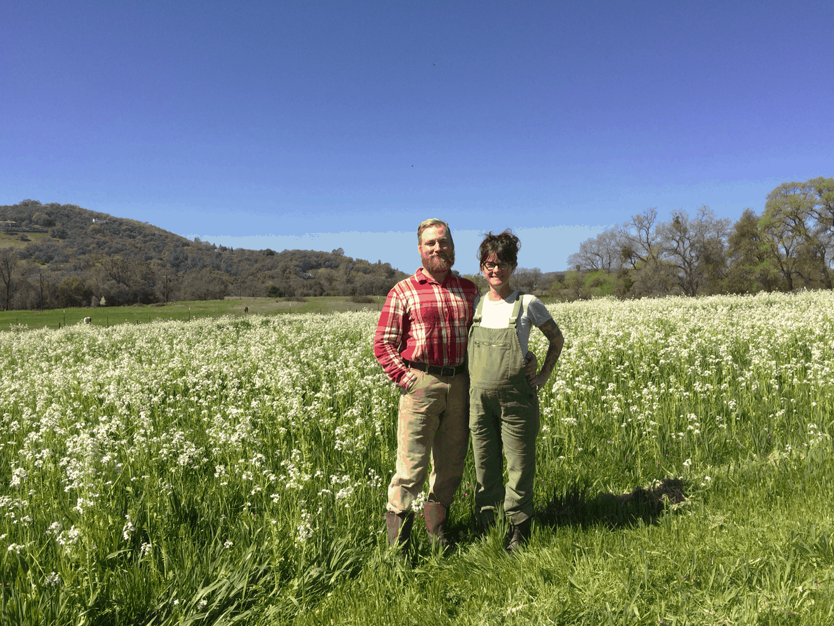 Meet a Farmer: Will Nelson of The Bear and The Bee Farm - California Grown