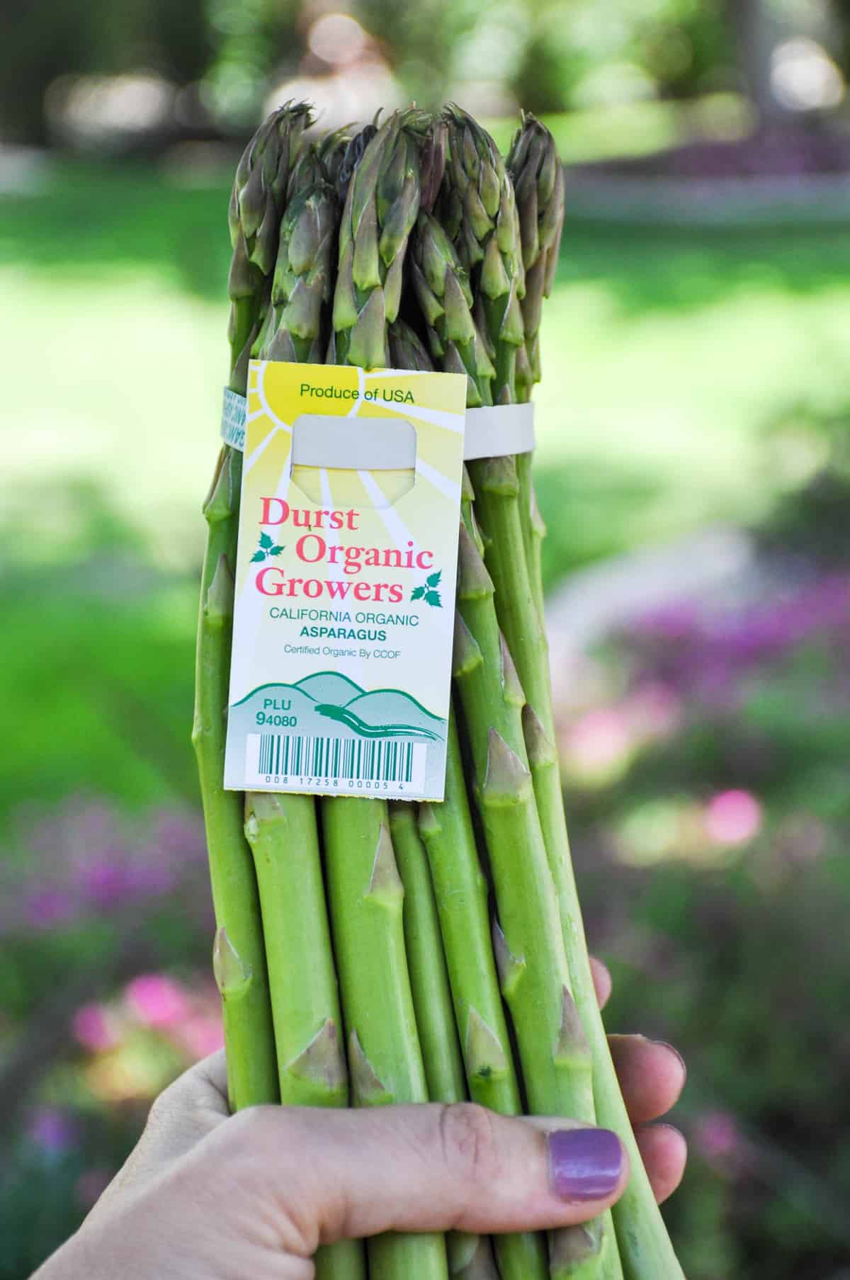 California Asparagus 