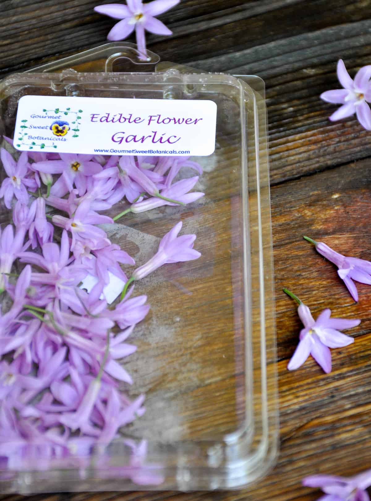 edible flower garlic