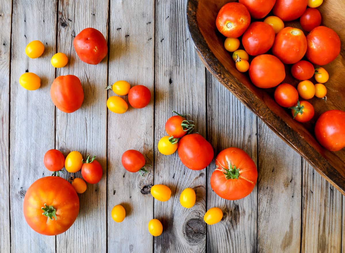 Garden Tomato Caprese Tart