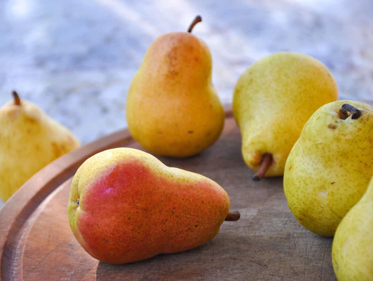 Bartlett Pears