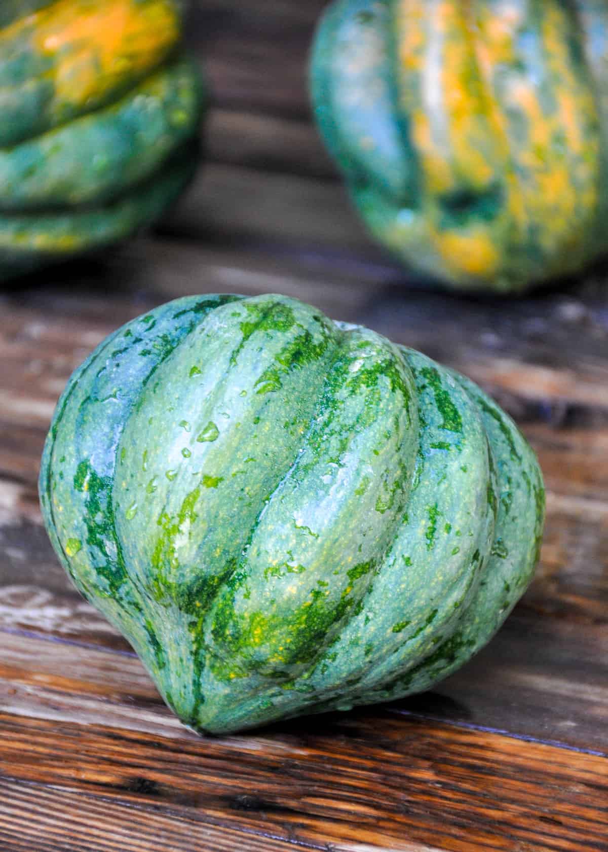 Acorn Squash 