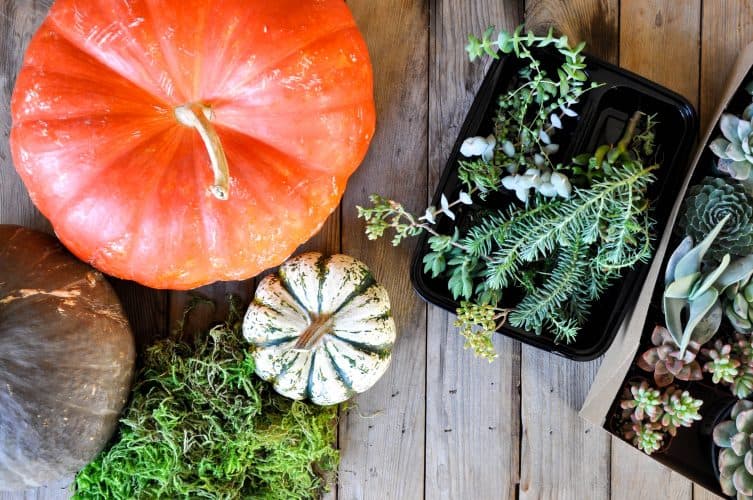Materials needed to make a Simple DIY Decoration for Fall 