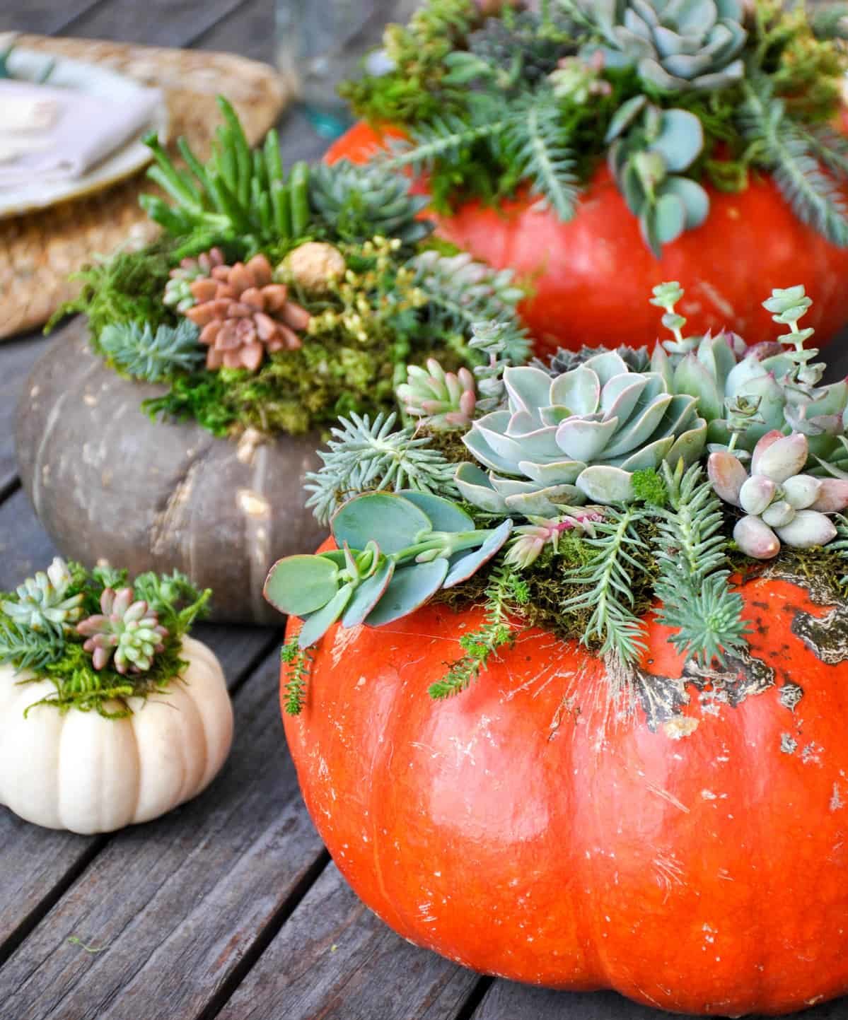 Simple DIY Decorations for Fall
