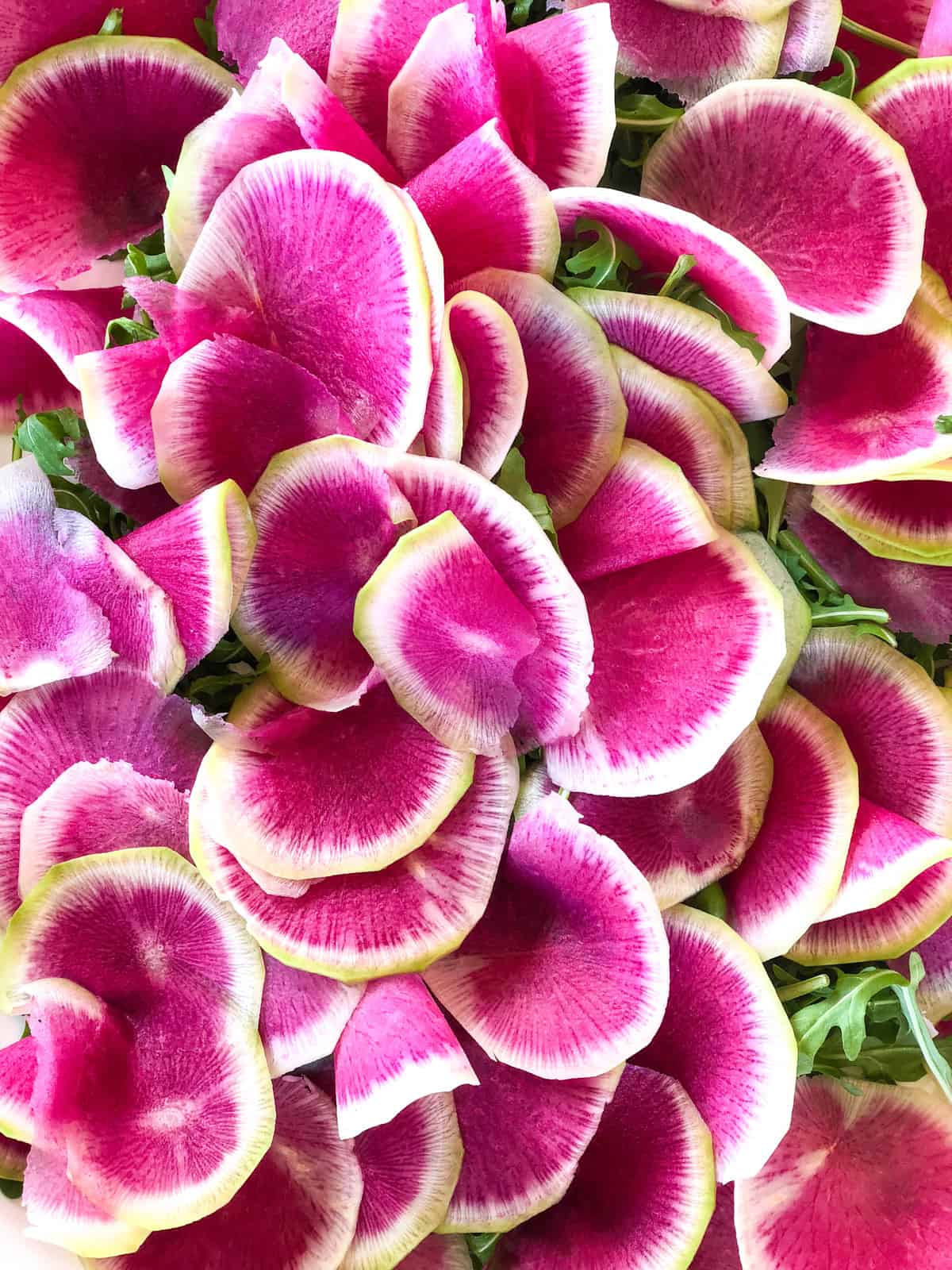 Watermelon radishes over arugula 