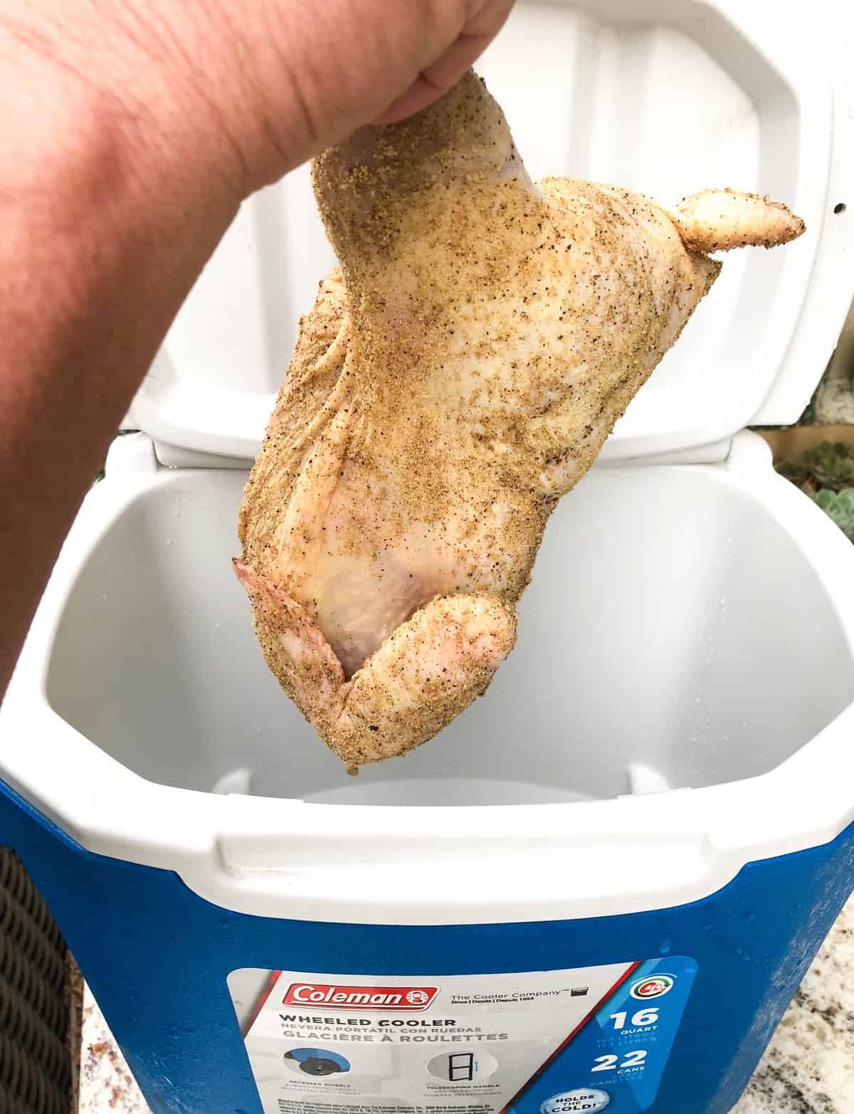 Place chicken in ice chest overnight 