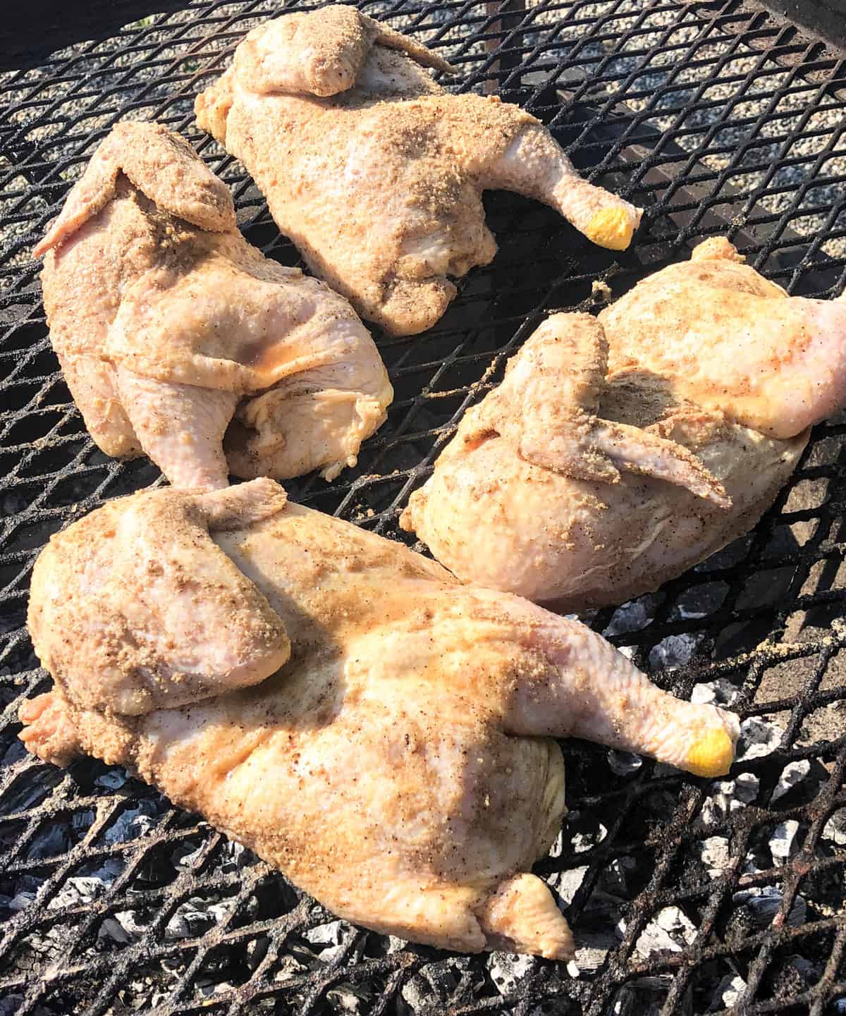 Cook seasoned chicken over grill