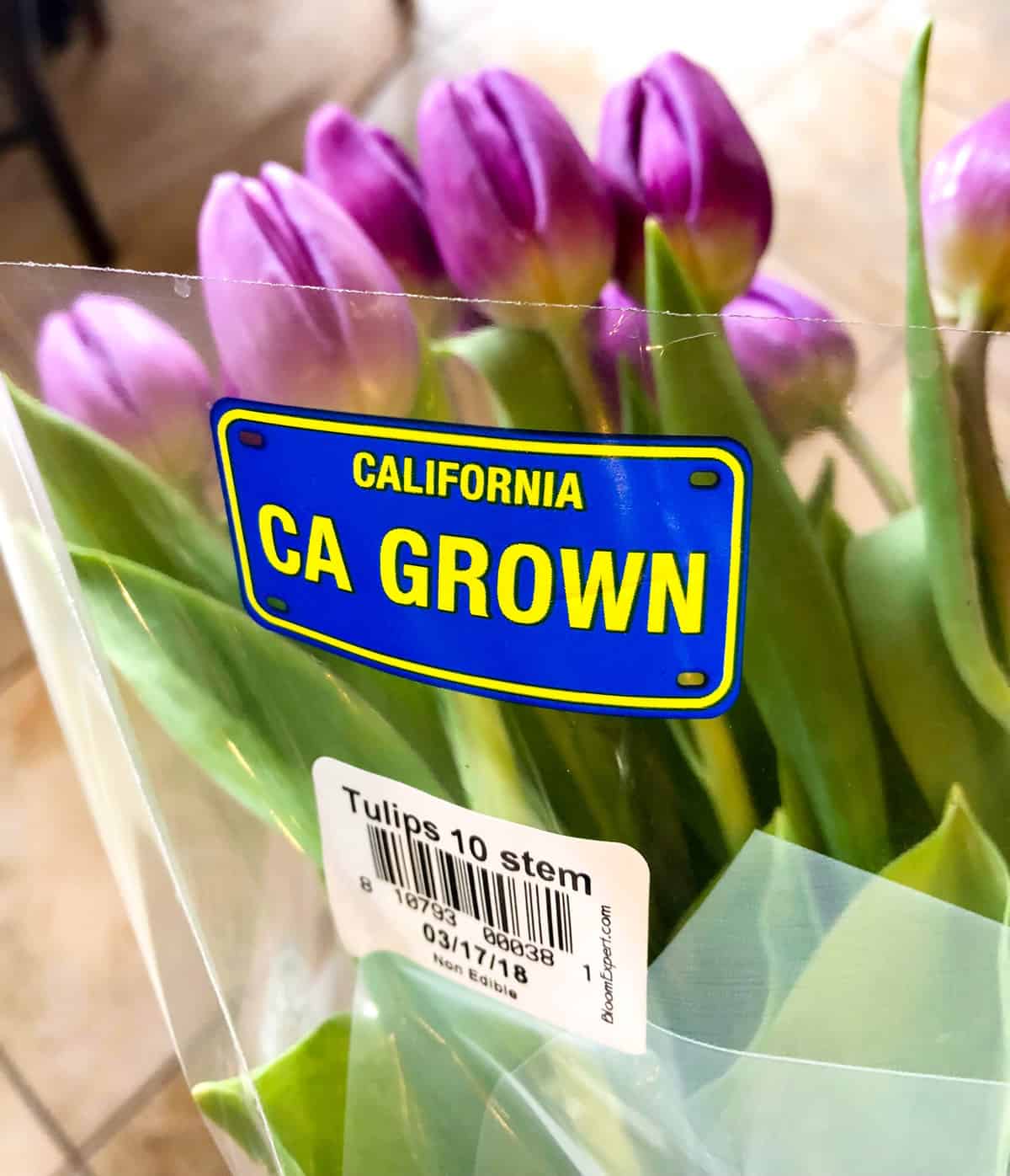 California Grown Tulips