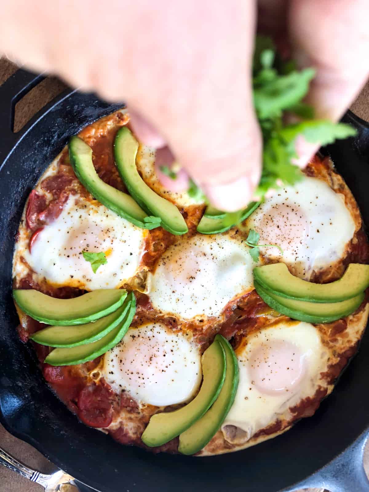 Top with avocado slices and chopped cilantro.