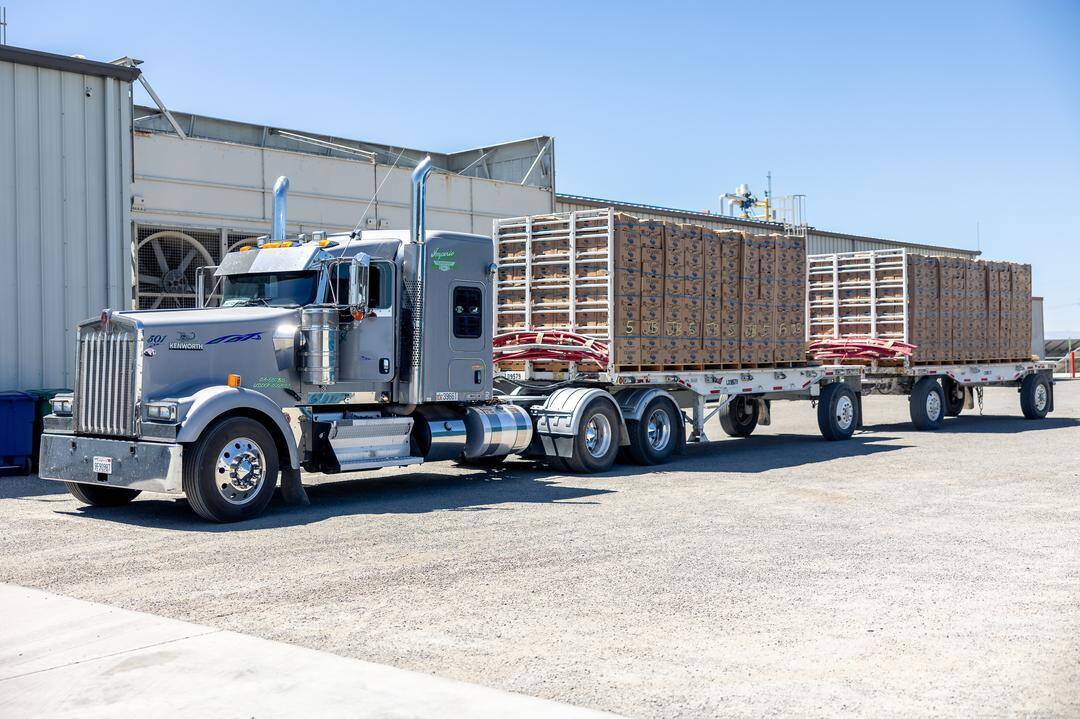 truck transporting melons from the field to Westside Produce's cold storage facility in Firebaugh