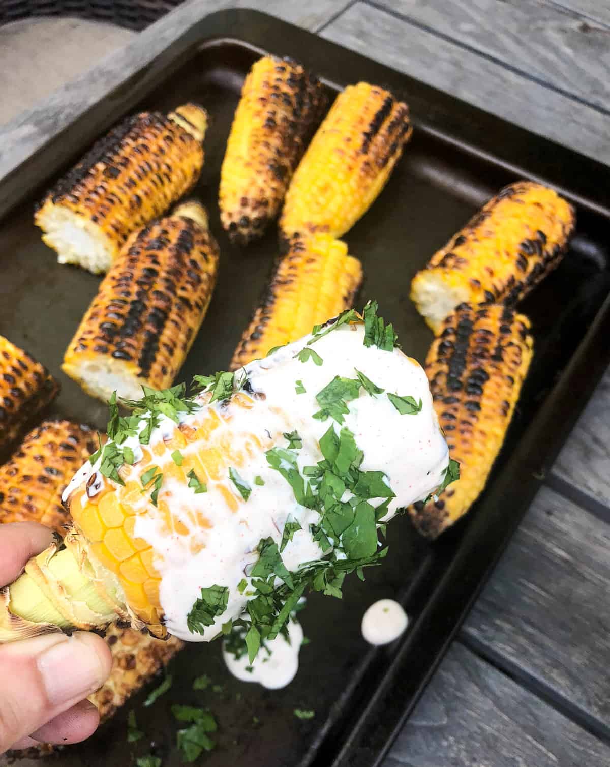 Sprinkle a layer of chopped cilantro.