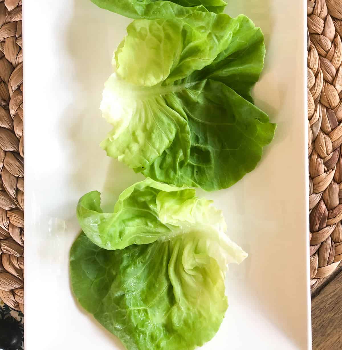 Butterhead lettuce
