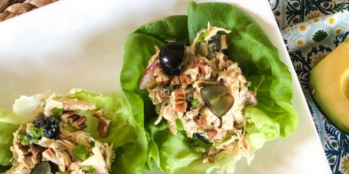 Chicken Salad with Grapes, Radish & Pecans in Avocado Dressing