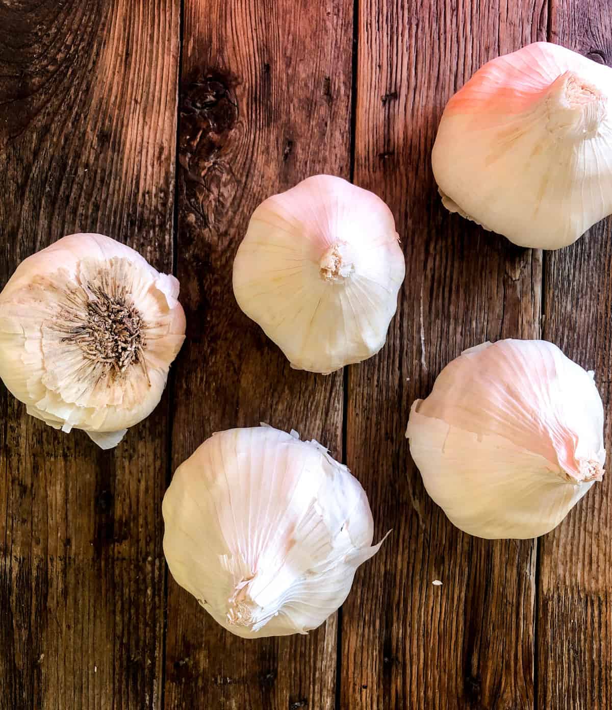 California Garlic