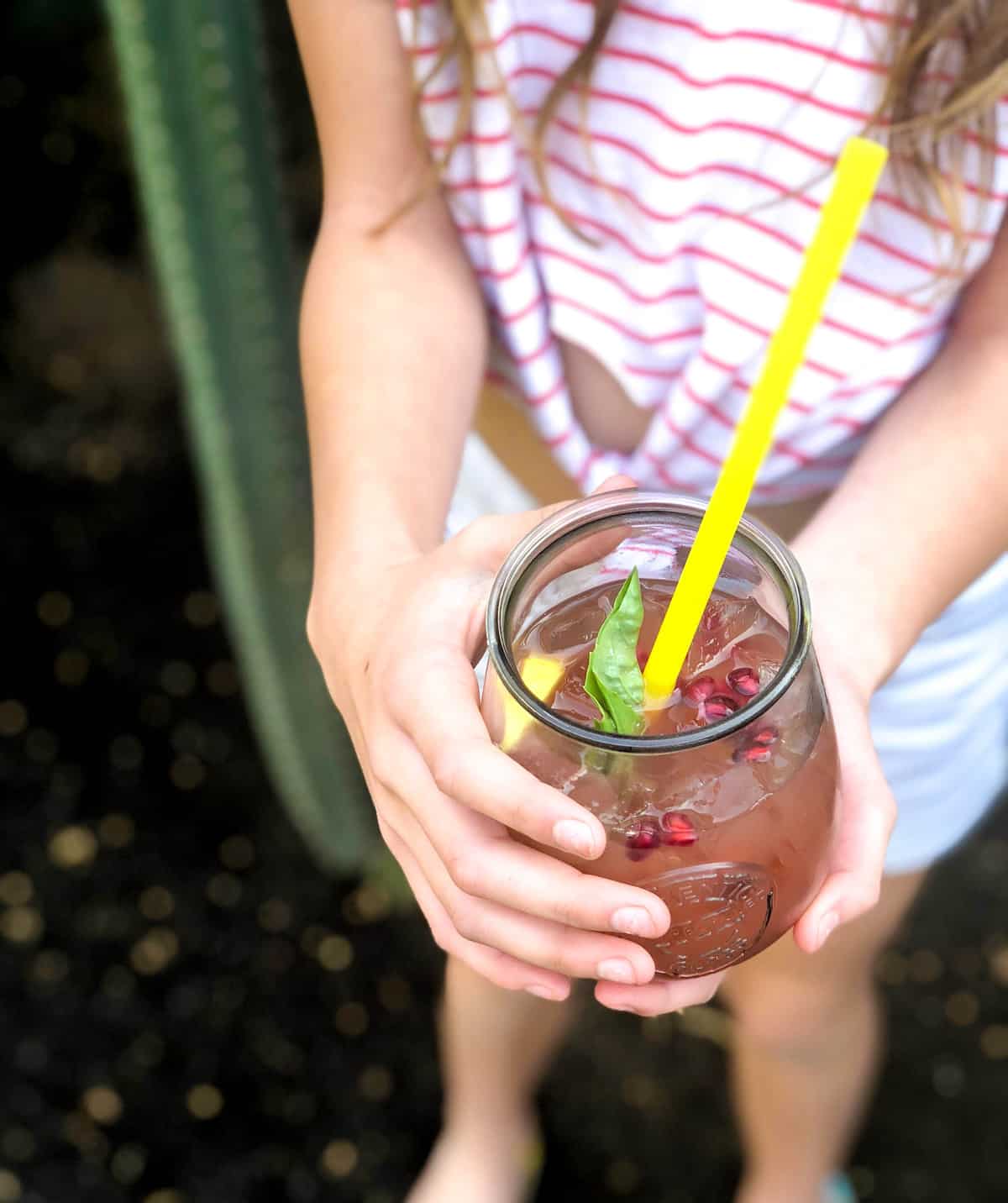 Pomegranate Apple Basil Refresher