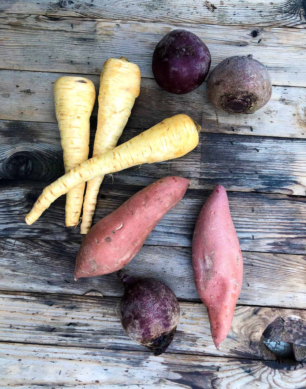 purple beets, sweetpotatoes, and parsnips