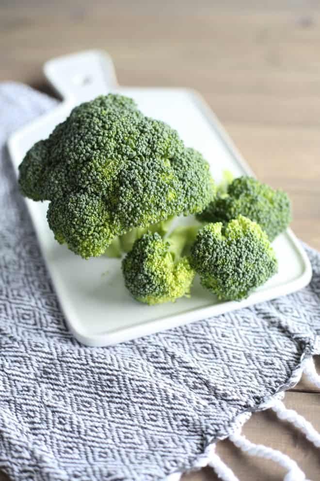 fresh broccoli head