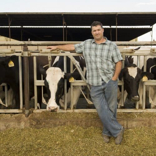 Meet a Farmer: Dino Giacomazzi of Giacomazzi Dairy