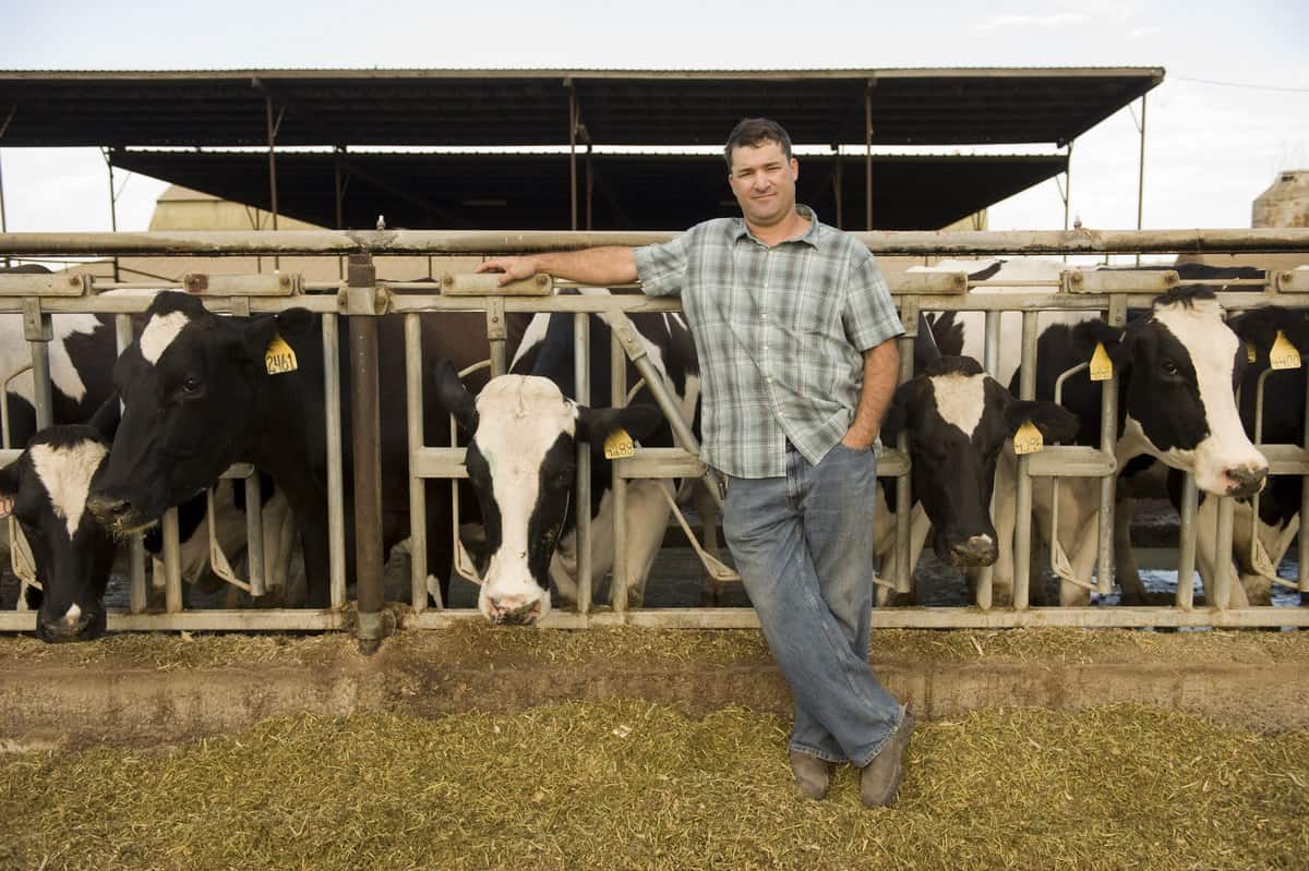 Meet a Farmer: Dino Giacomazzi of Giacomazzi Dairy