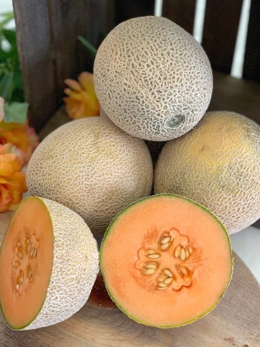 Honeydew Melon - Seeds, Calories, Health Benefits, Nutrition Facts and  Recipes - Only Foods