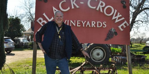 Meet a California Raisin Farmer: Richard Crowe of Black Crowe Vineyards
