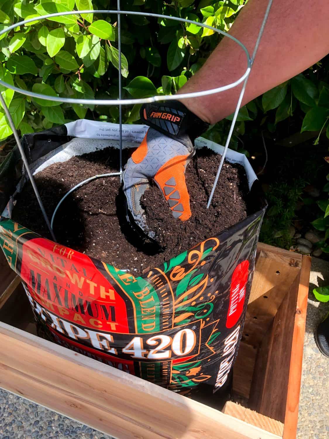 Soil Bag Container Gardening California Grown