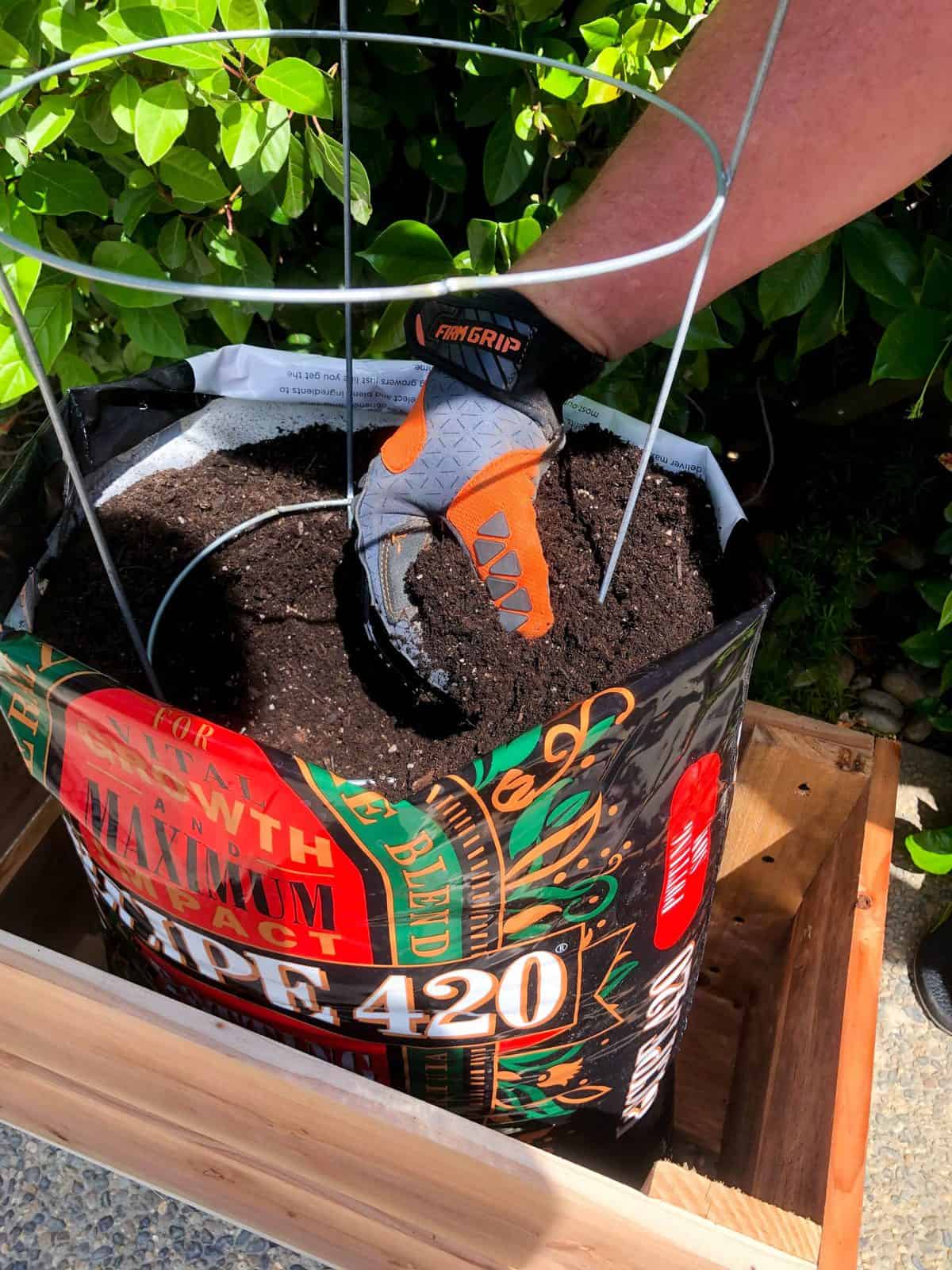 Soil Bag Container Gardening - California Grown