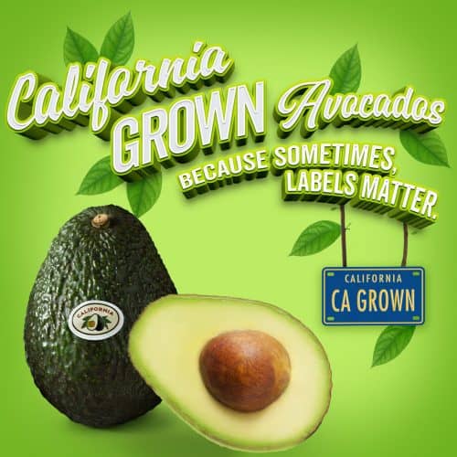 California Avocado Recipes You Haven’t Tried, But Should!